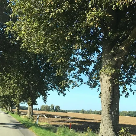 Luxurioese In Mit Garten