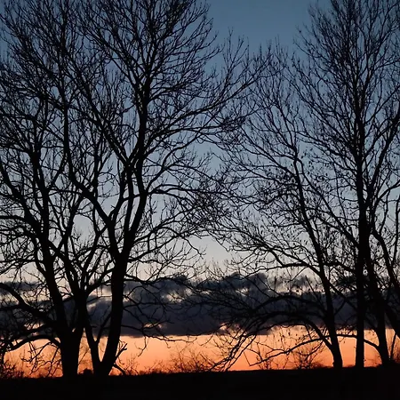 Luxurioese In Mit Garten شقة