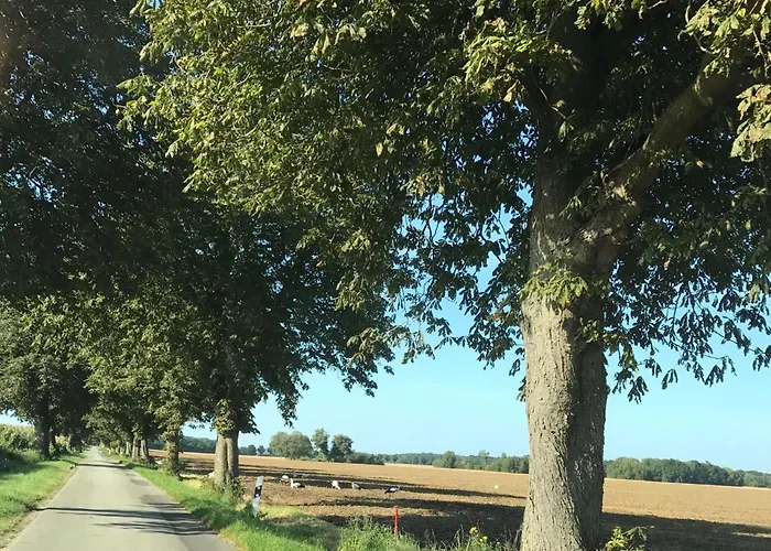 Luxurioese In Mit Garten