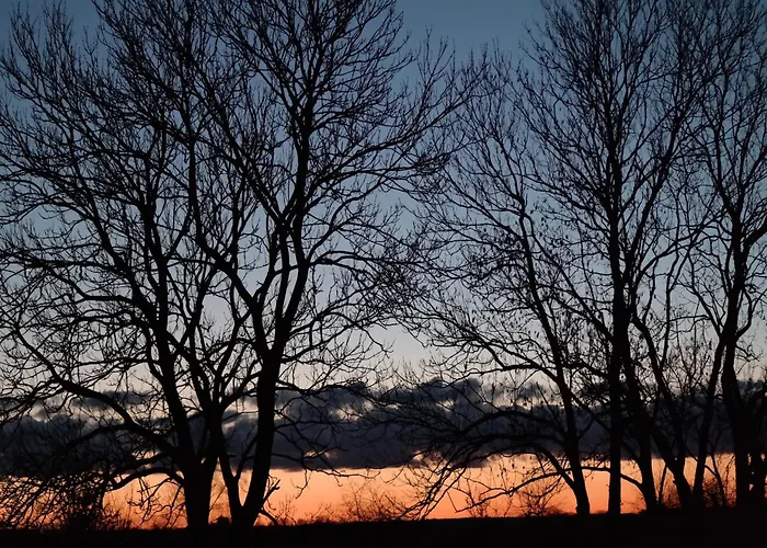 Luxurioese In Mit Garten Apartment